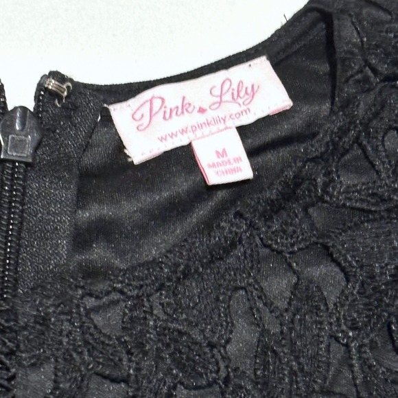 NEW Pink Lily Black Lace Short Sleeve Dress Medium Crochet Whimsigoth Dark Fairy - Picture 4 of 10